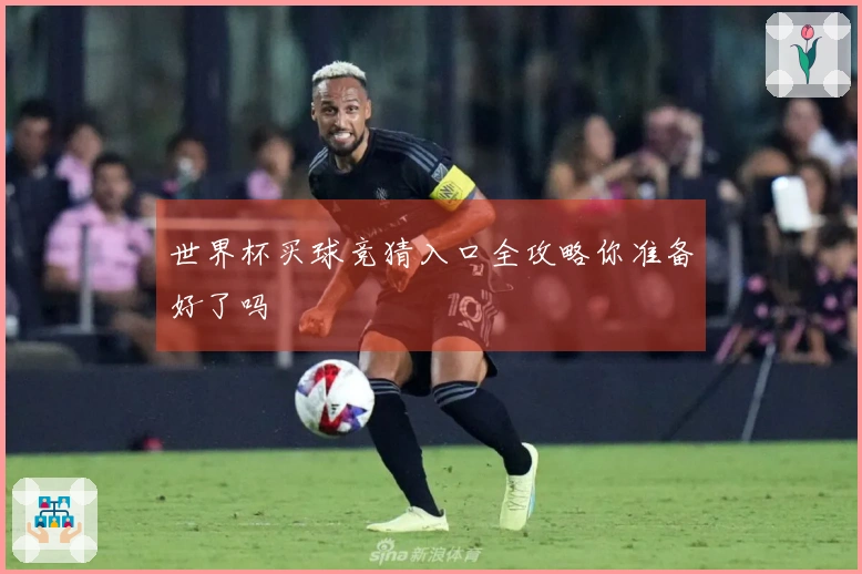 世界杯买球竞猜入口全攻略你准备好了吗